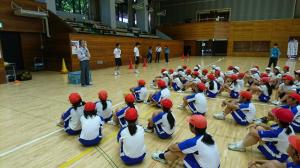 神大実小学校・飯島小学校 『神大実小学校・飯島小学校』の画像