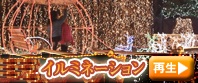 イルミネーション 『イルミネーション』の画像
