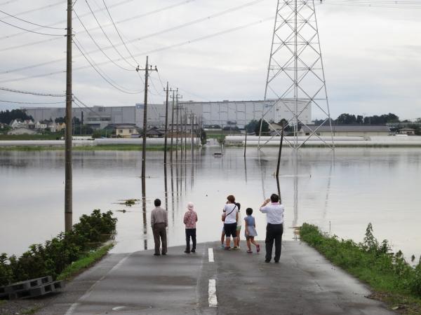 飯沼耕地の冠水