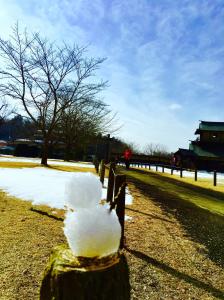 逆井城跡公園