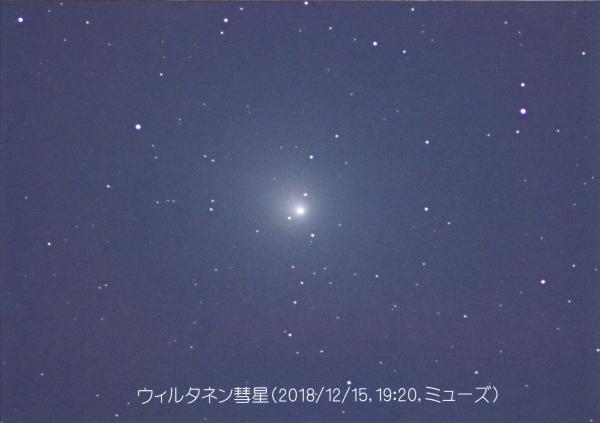 ウィルタネン彗星