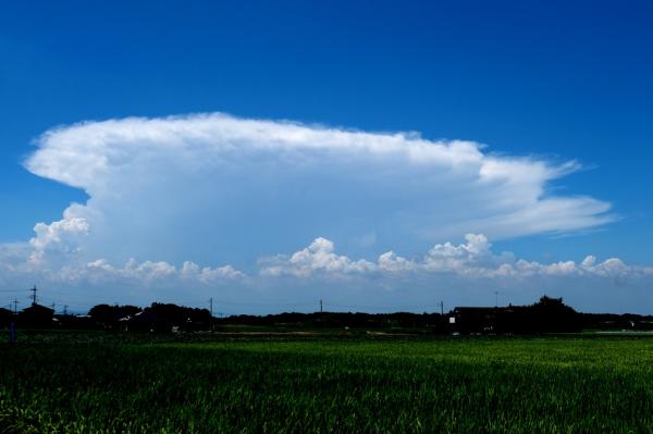 かなとこ雲