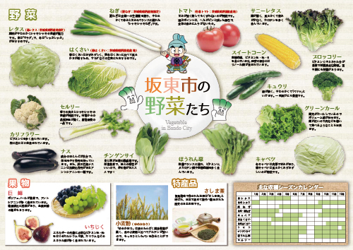 野菜王国パンフレット-2
