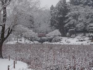 八坂公園　冬めく