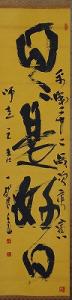 日々是好日