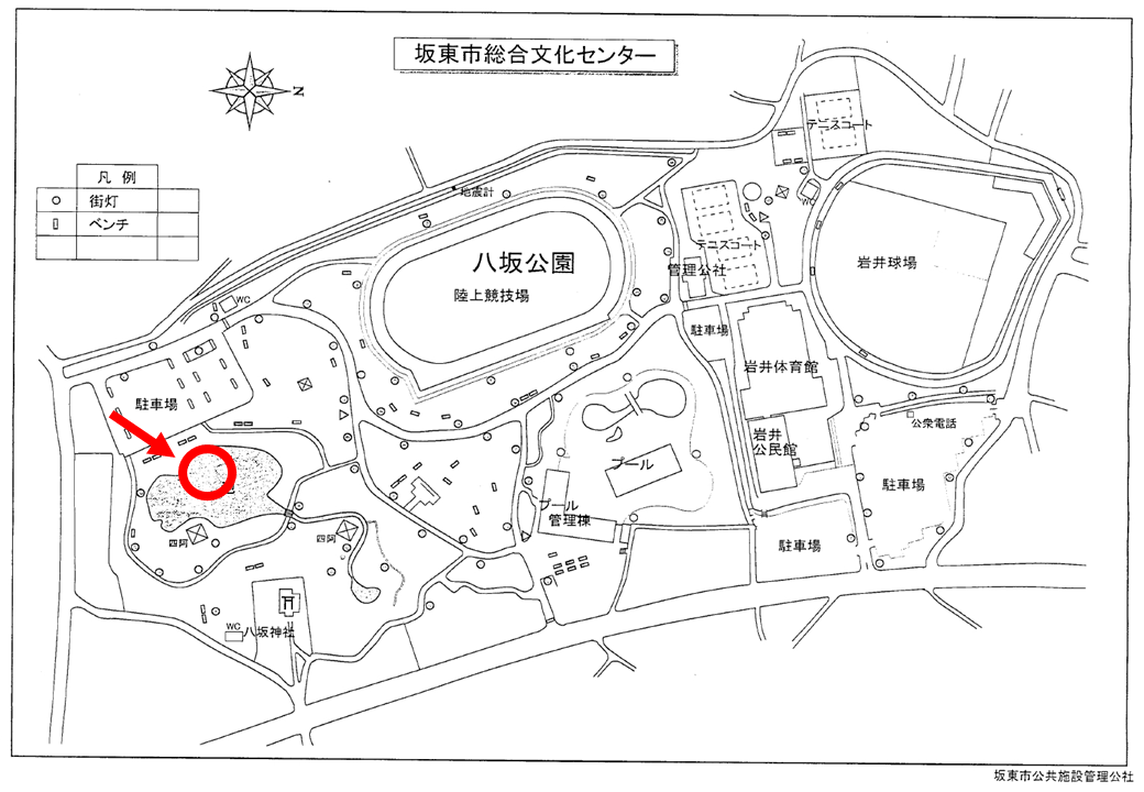 サンプル画像