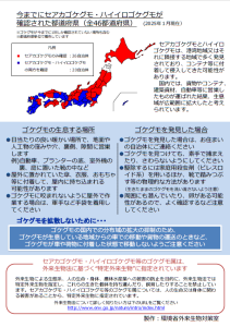 p2セアカゴケグモ・ハイイロゴケグモにご注意ください！（環境省）