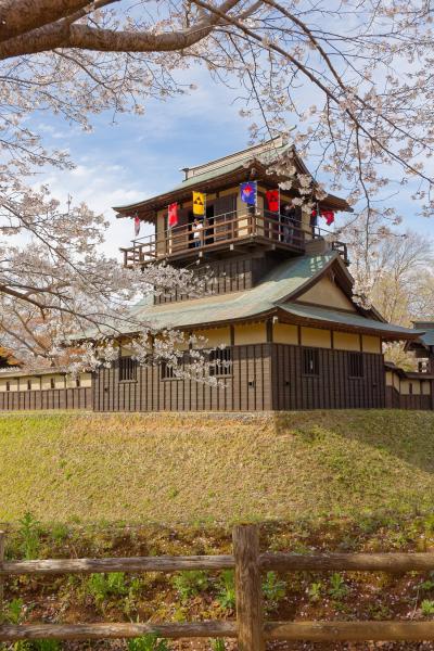 逆井城まつり まつり仕様