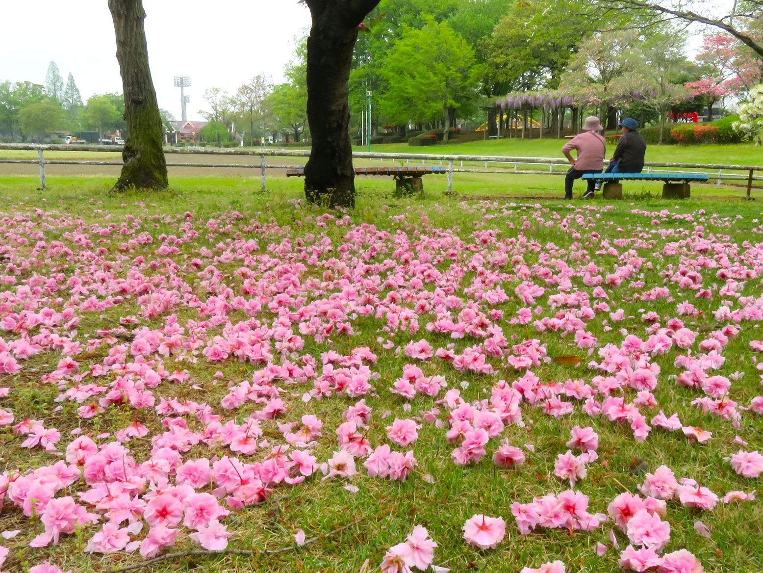 【入賞】朝の楽しみ