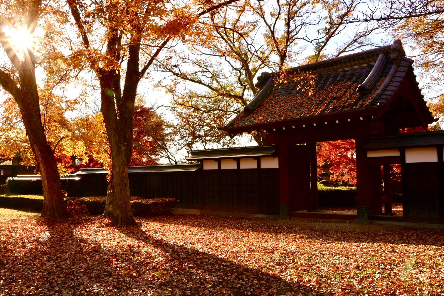 【入賞】晩秋の光彩