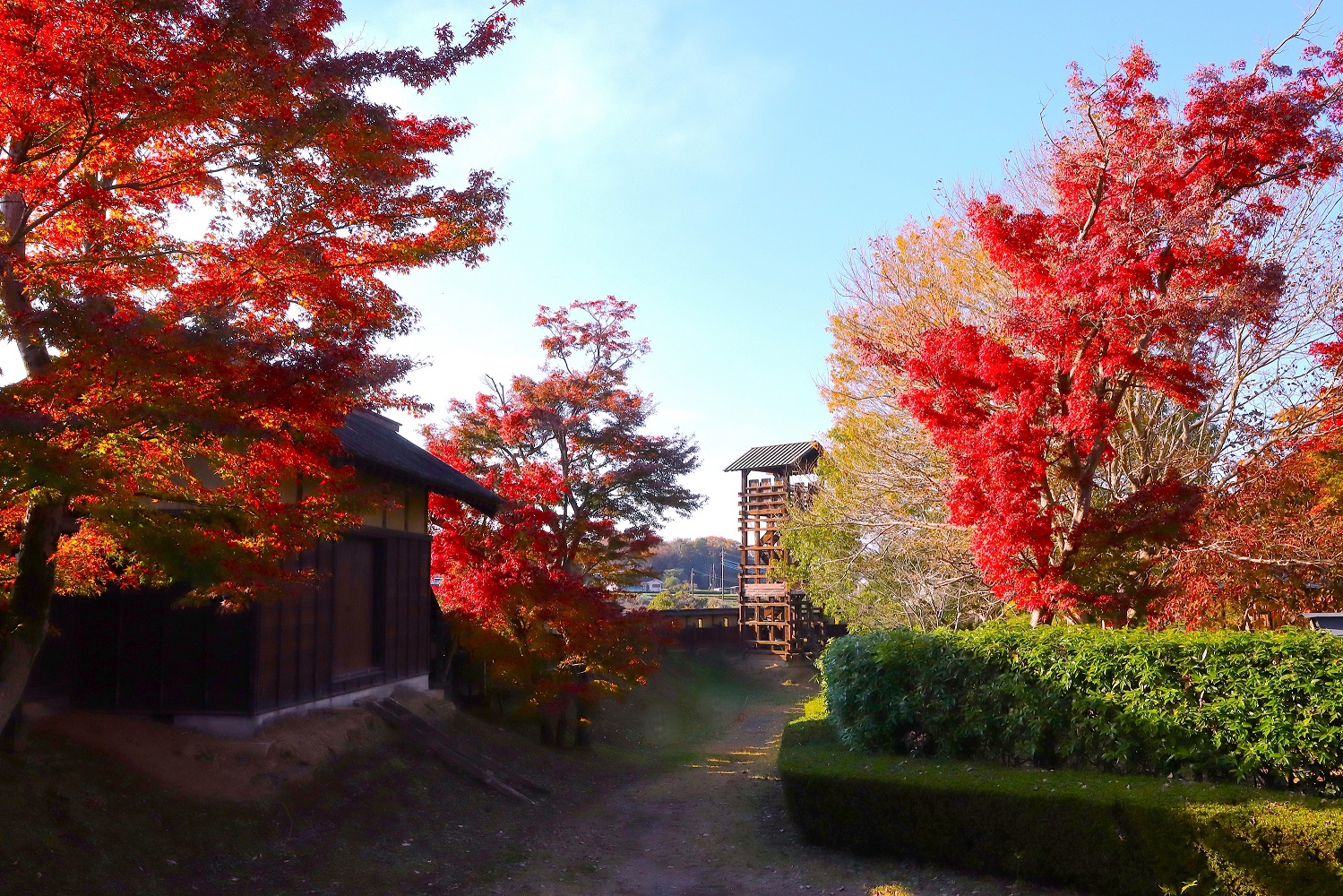 【佳作】秋色の城跡