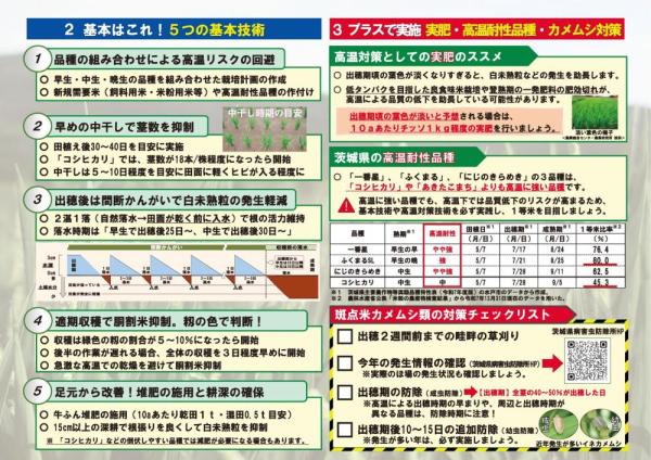 暑さに負けない米づくり2