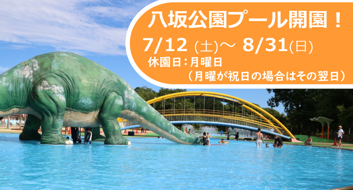 八坂公園プール