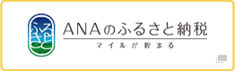 ANAのふるさと納税